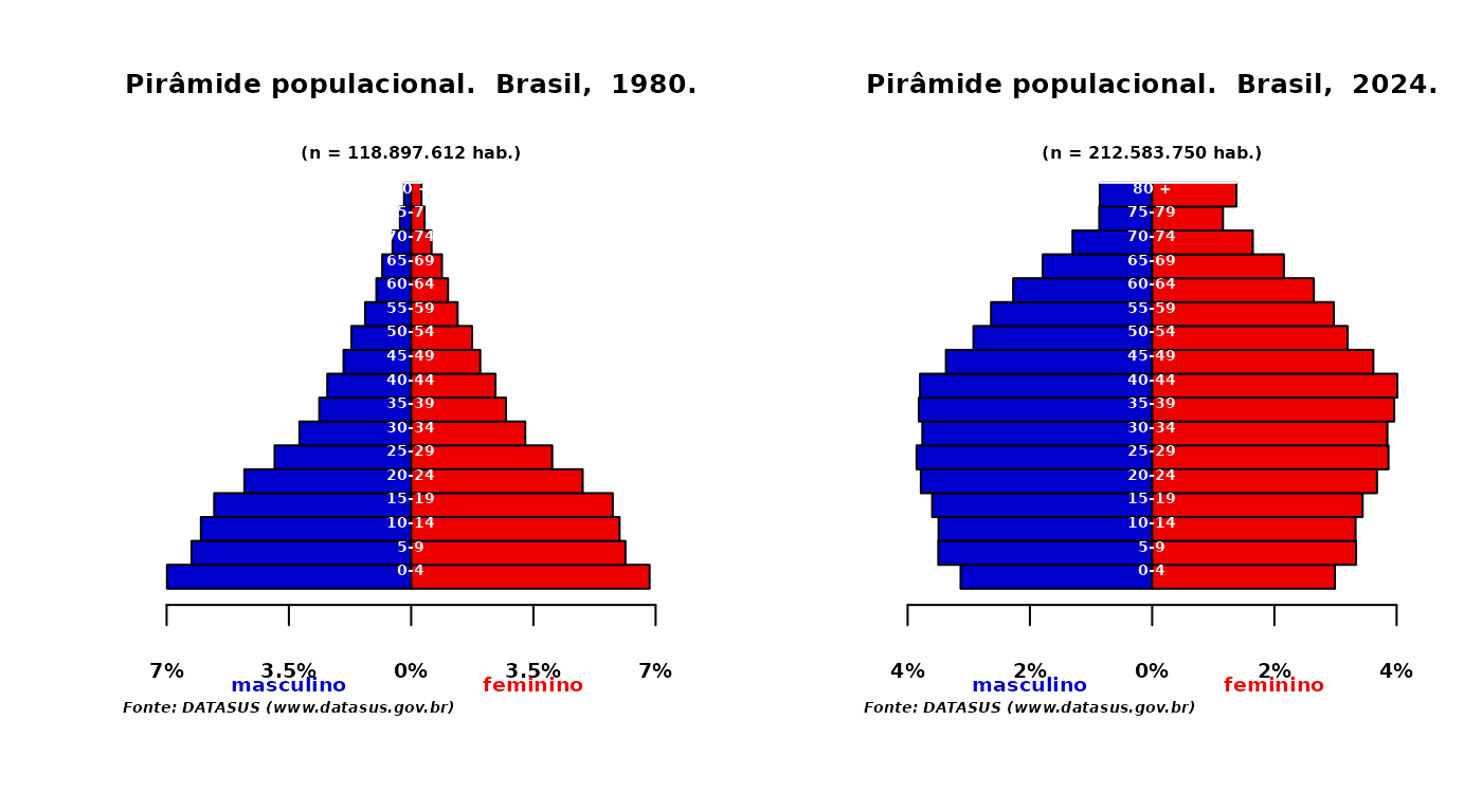 Pirâmide populacional com a função plot_pir
